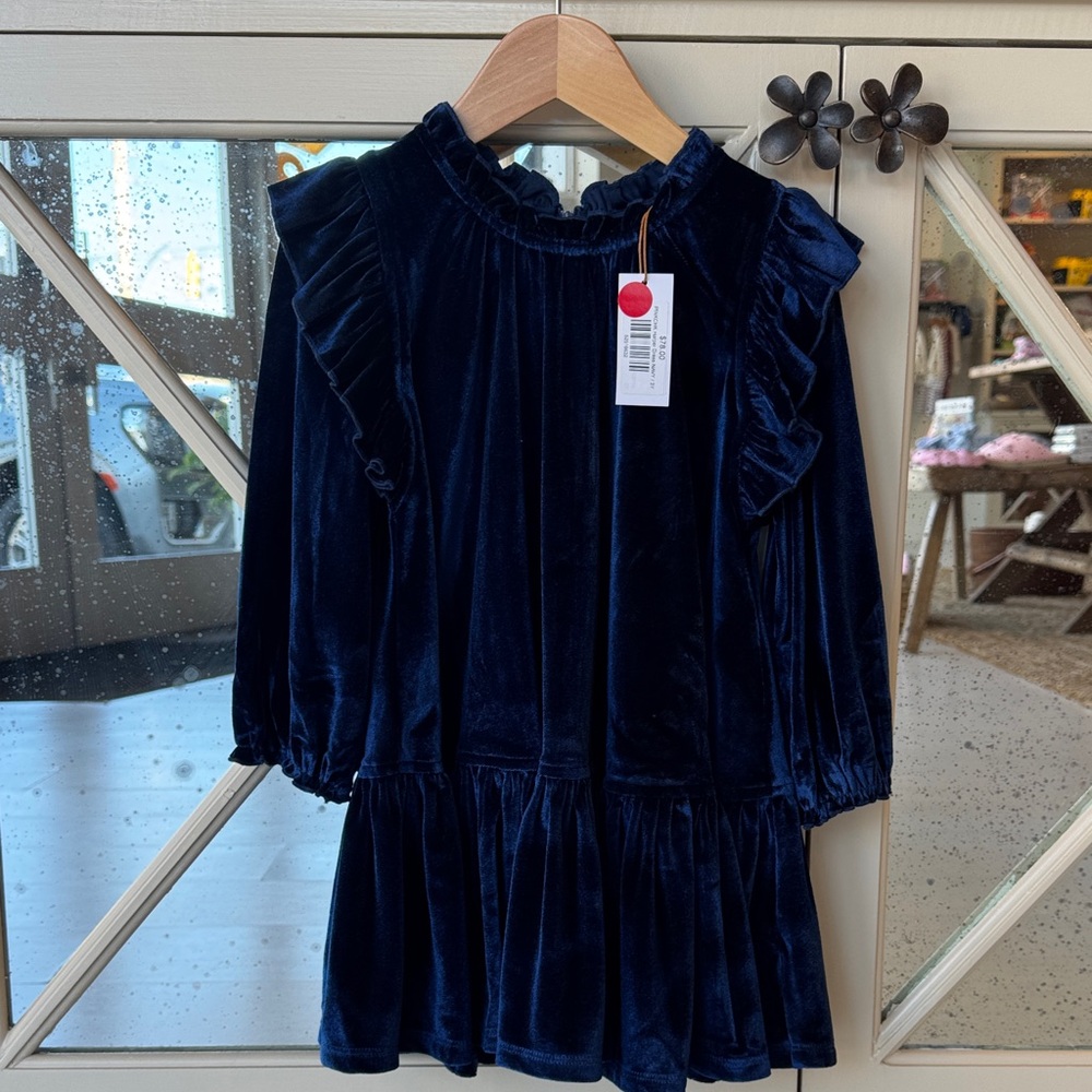 Pink Chicken Midnight Blue Velvet Dress